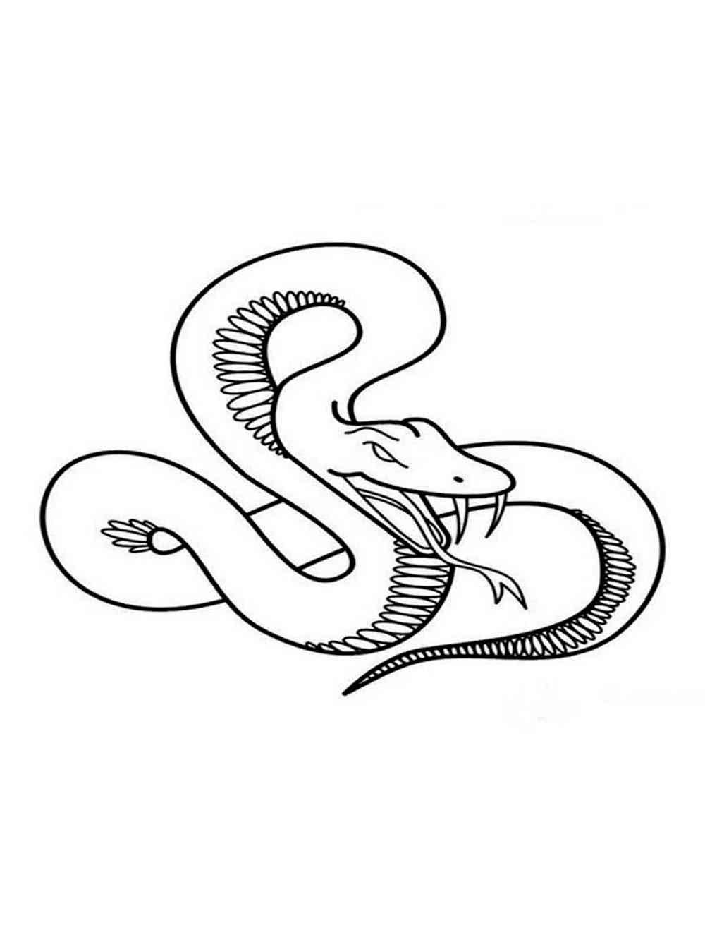 Simple Snake coloring page