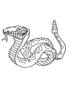 Rattlesnake coloring page