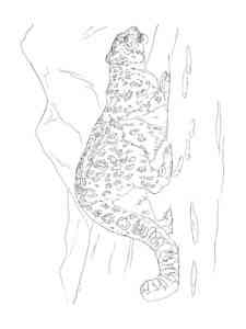 Crouching Snow Leopard coloring page