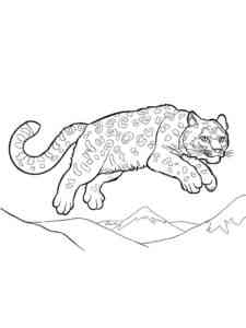 Jumping Snow Leopard coloring page