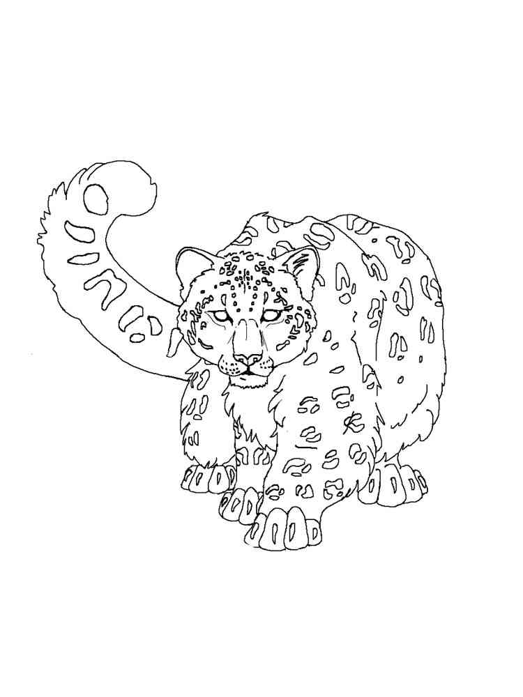 WildCat Snow Leopard coloring page
