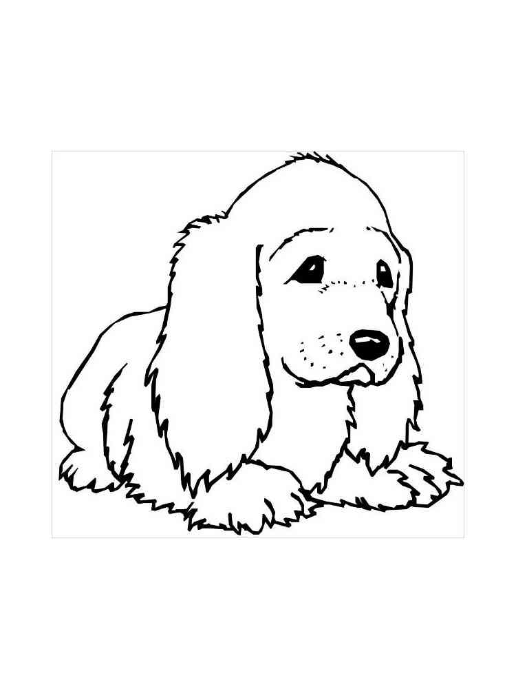 Cute Spaniel coloring page