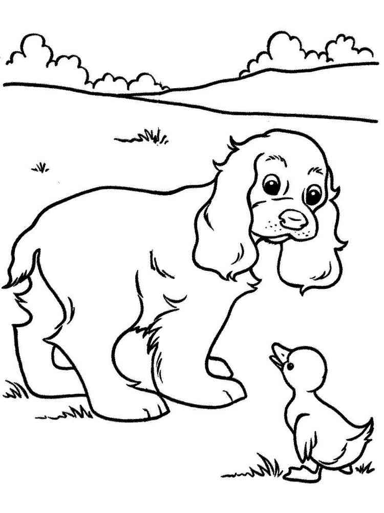 Spaniel and Duckling coloring page
