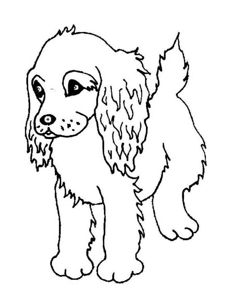 Puppy Cocker Spaniel coloring page