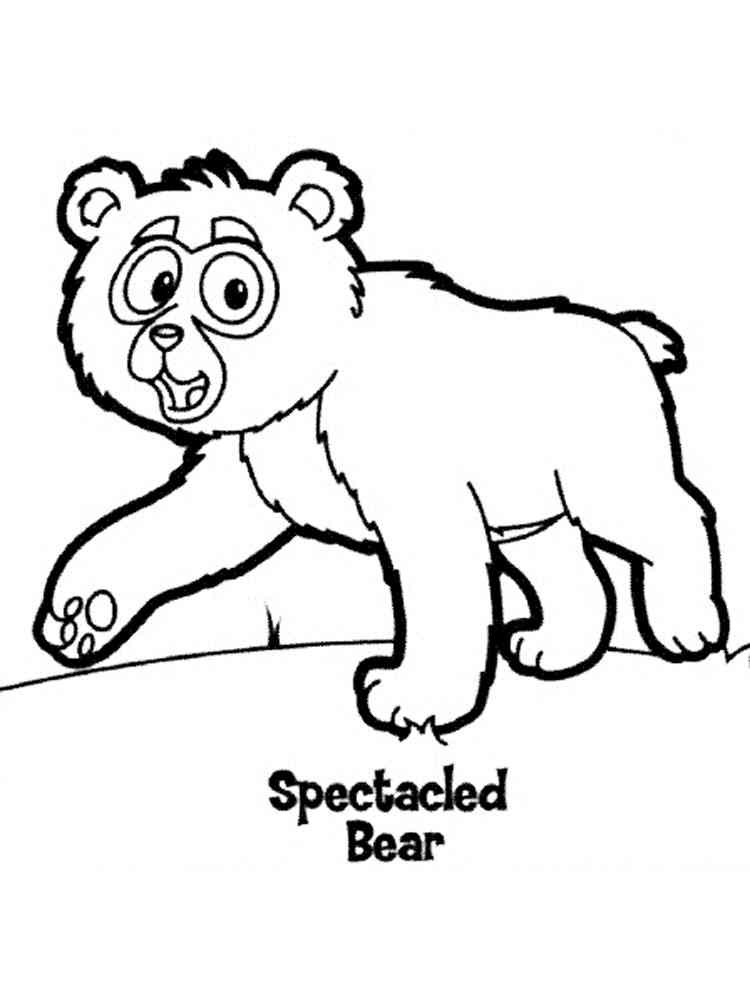 Little Spectacled Bear coloring page