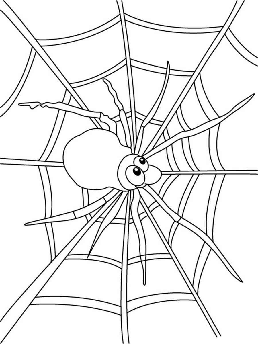 Cartoon Spider Spinning Web coloring page