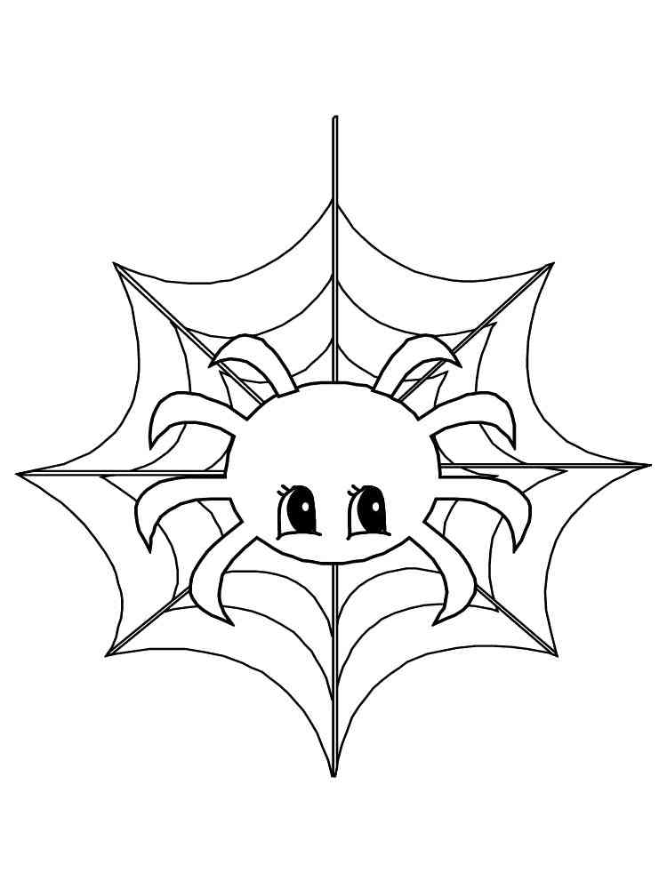 Little Spider on the Web coloring page