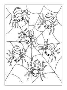 Spiders on the Web coloring page