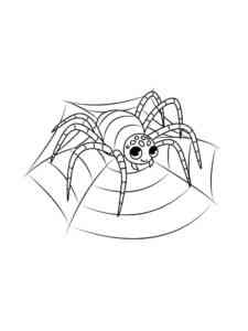 Cartoon Spider on the Web coloring page