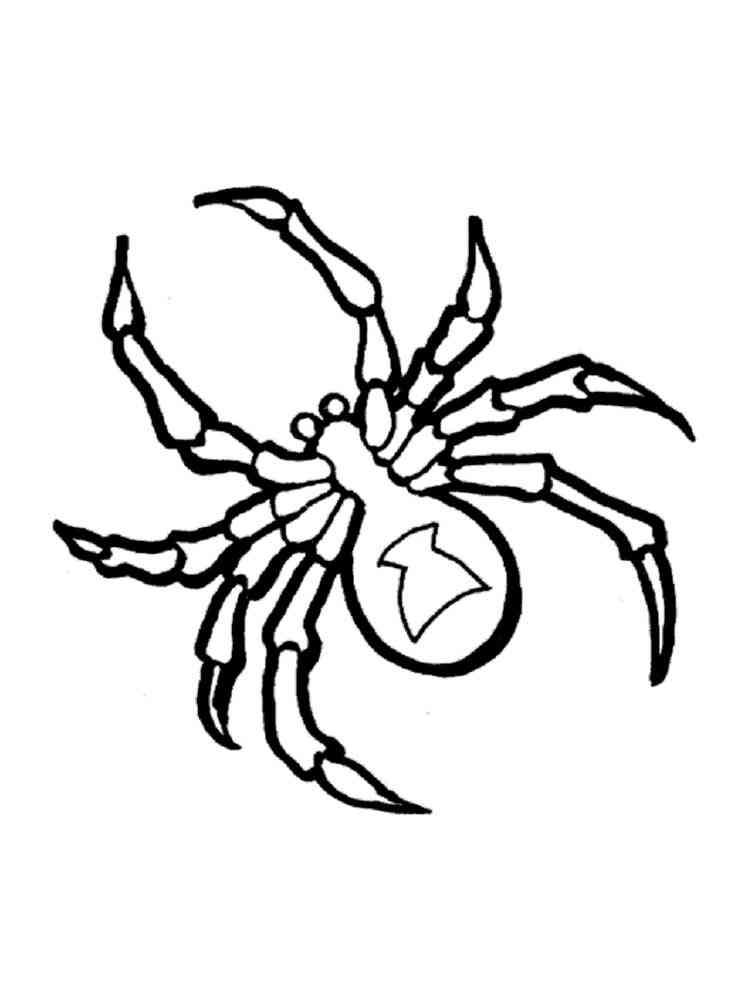 Black Widow Spider coloring page
