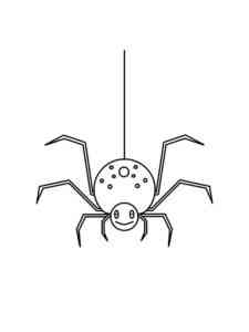 Spider hanging on a spider’s web coloring page