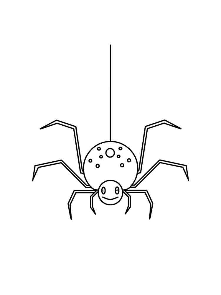 Spider hanging on a spider’s web coloring page