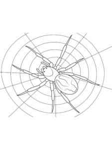 Realistic Spider Spinning Web coloring page