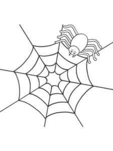 Easy Spider Spinning Web coloring page