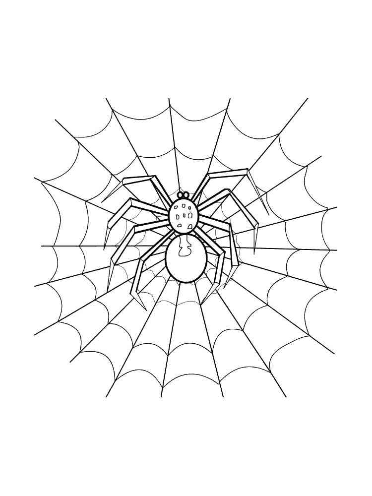 Spider Web coloring page