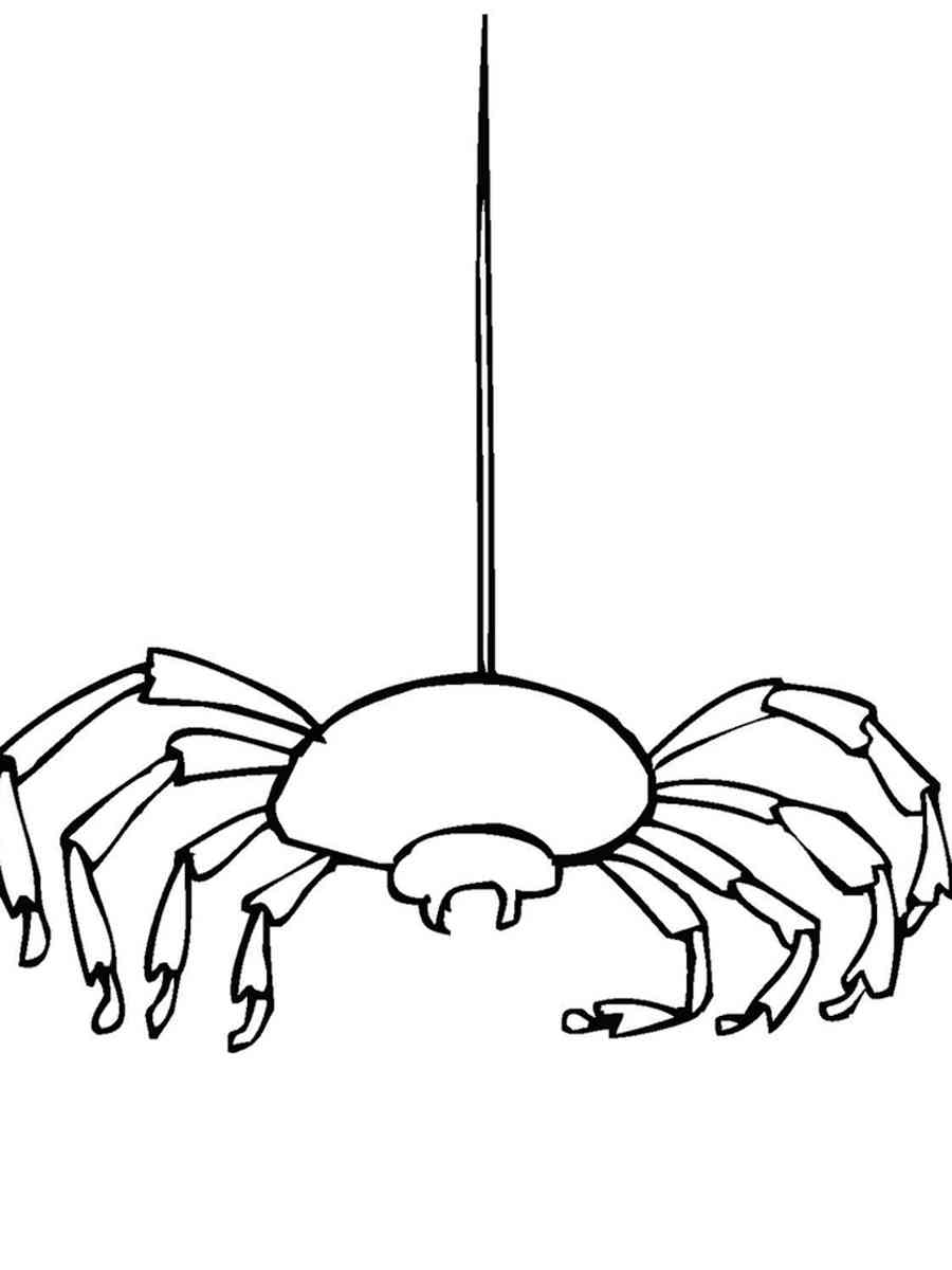 Scary Spider coloring page