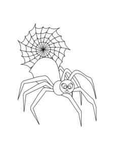 Cartoon Spider and Web coloring page