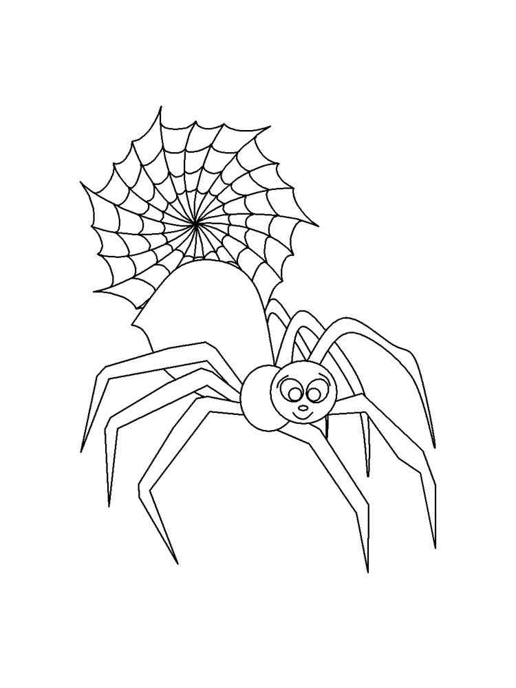 Cartoon Spider and Web coloring page