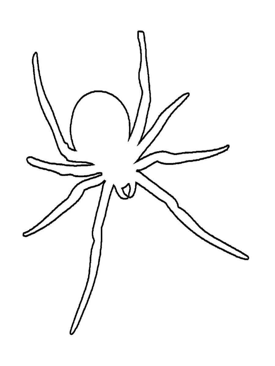 Easy Spider Outline coloring page