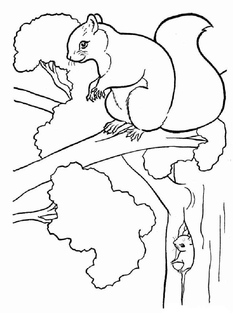 Red Squirrel on a Tree coloring page