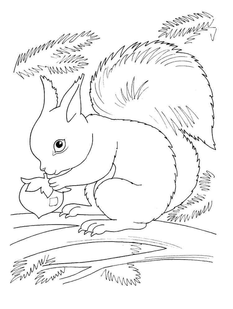 Squirrel Eating Nut on a Tree coloring page