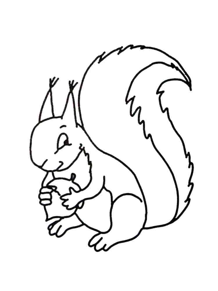 Cartoon Funny Squirrel coloring page
