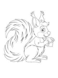 Beautiful Squirrel coloring page