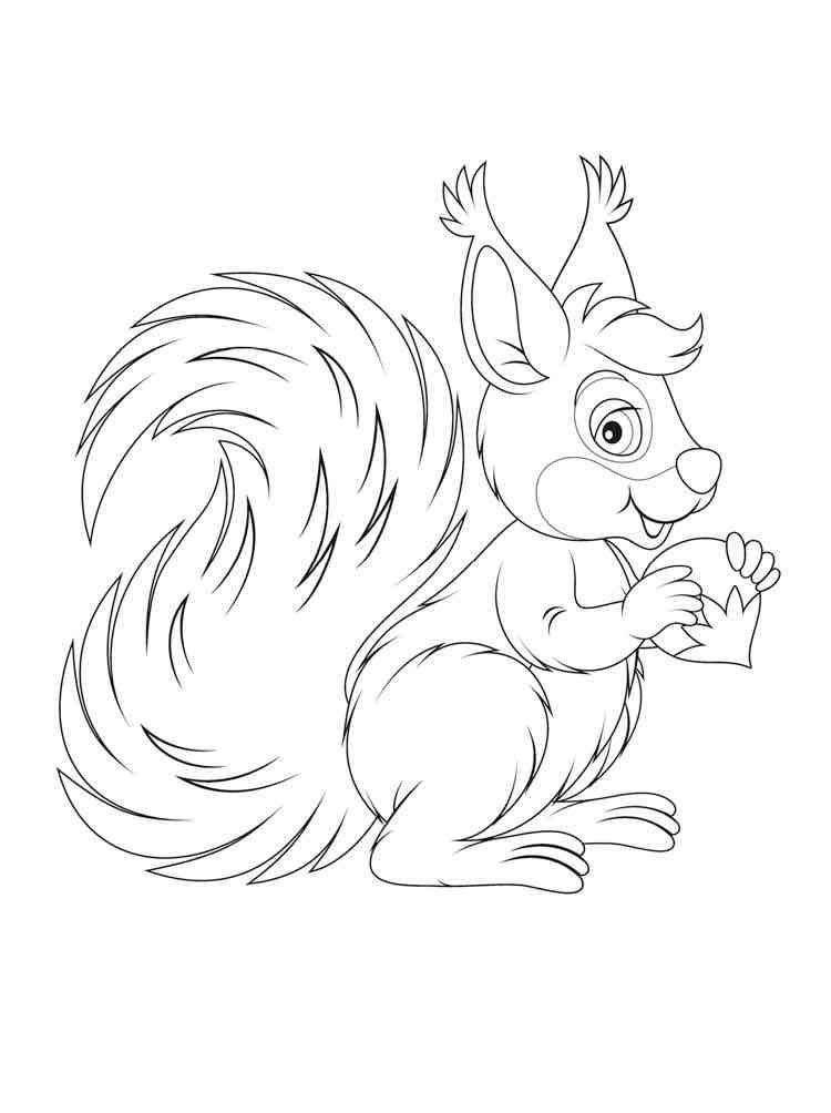 Beautiful Squirrel coloring page