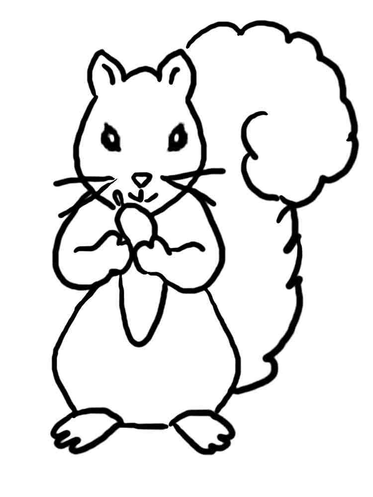Easy Squirrel 2 coloring page