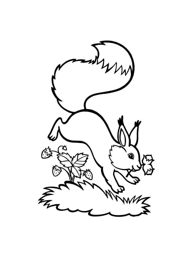 Jumping Squirrel coloring page