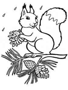 Squirrel with Pinecones coloring page