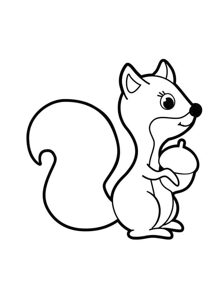 Little Squirrel coloring page