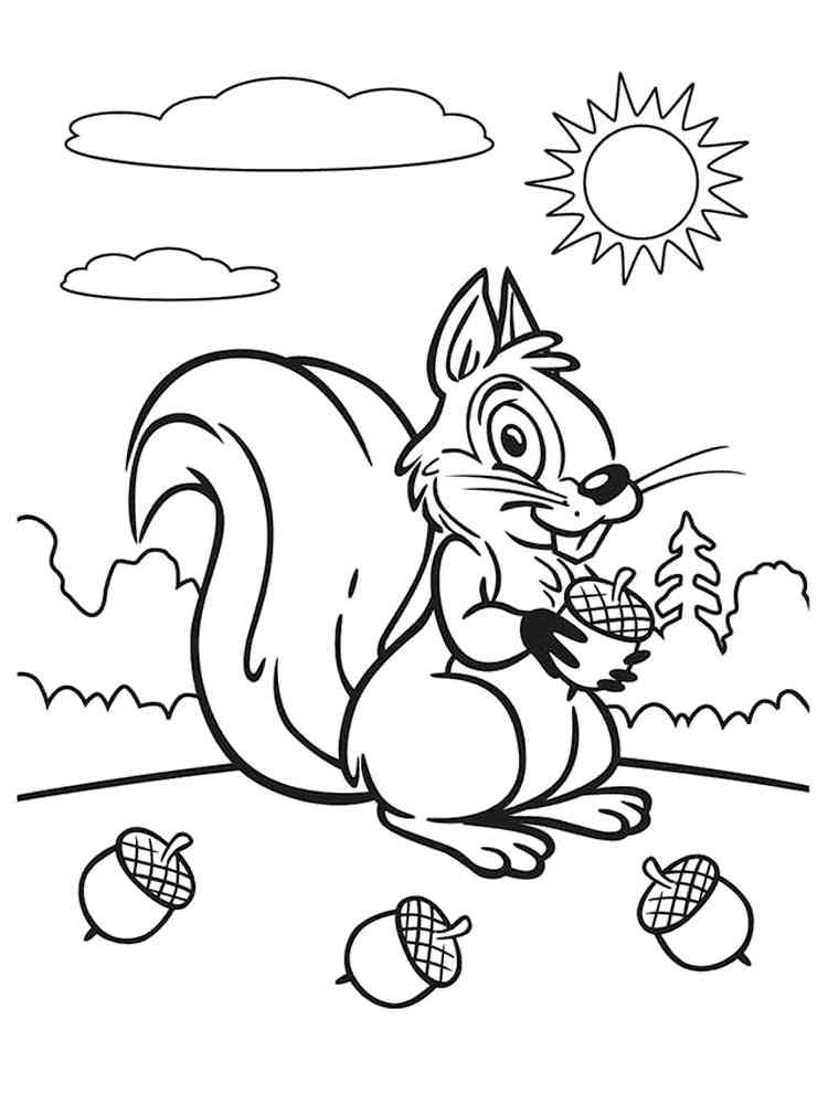 Squirrel picks Acorns coloring page