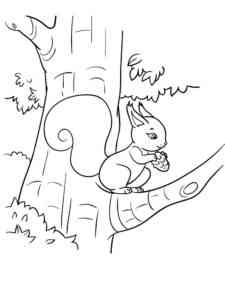 Squirrel on tree coloring page