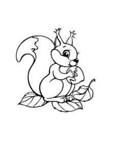 Squirrel Eating Nut coloring page