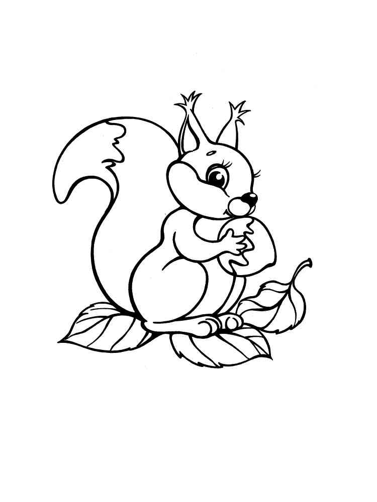 Squirrel Eating Nut coloring page