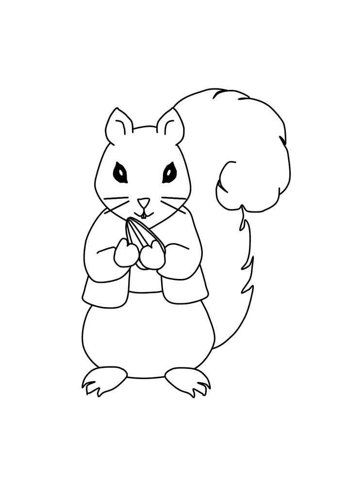 Squirrel Holds Seed coloring page