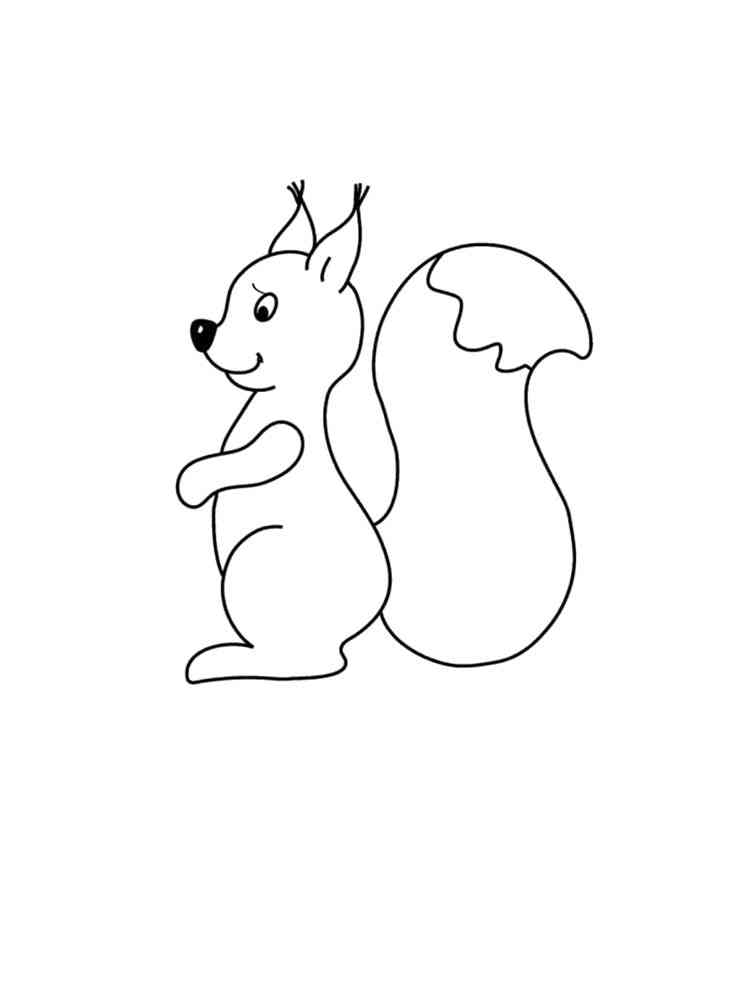 Easy Squirrel coloring page
