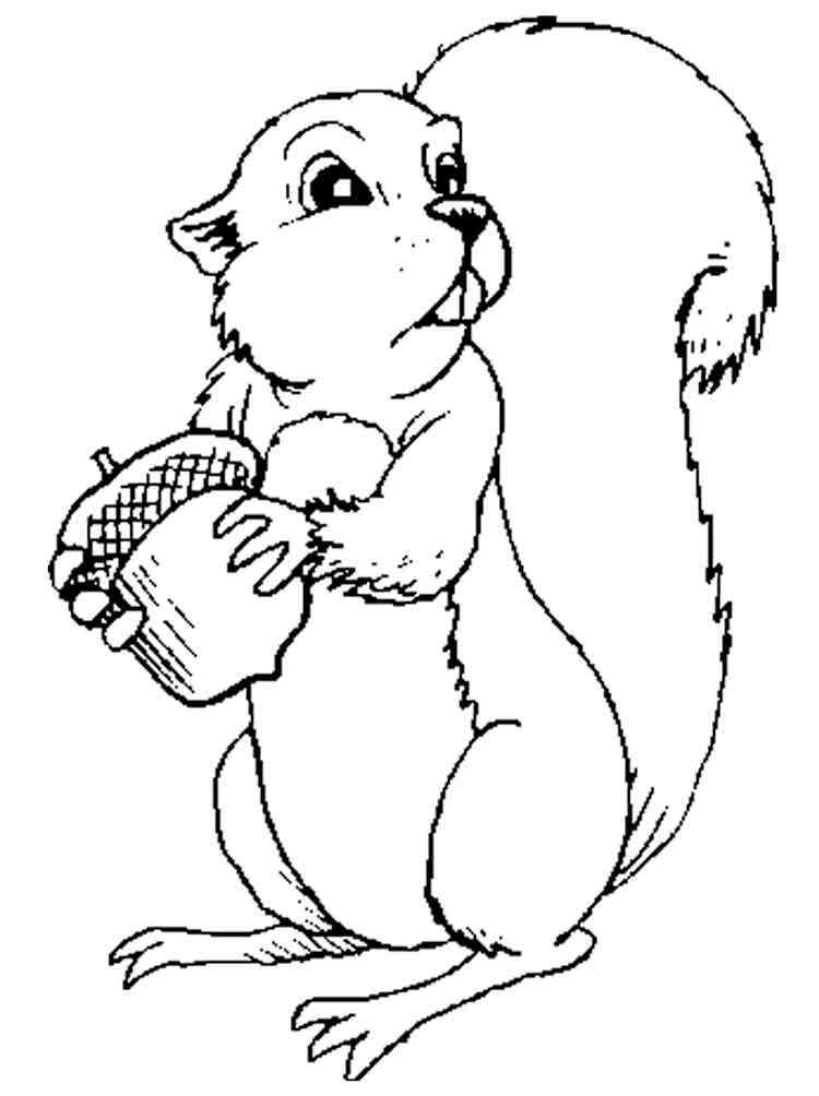 Cartoon Squirrel with Acorn coloring page