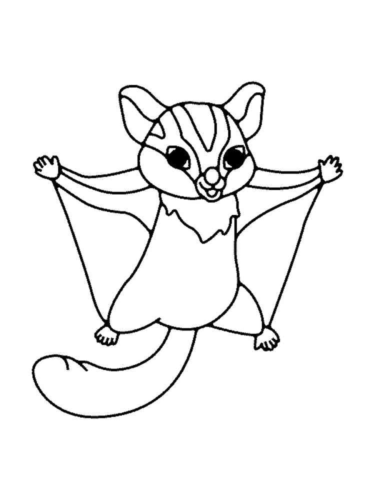 Little Sugar Glider coloring page