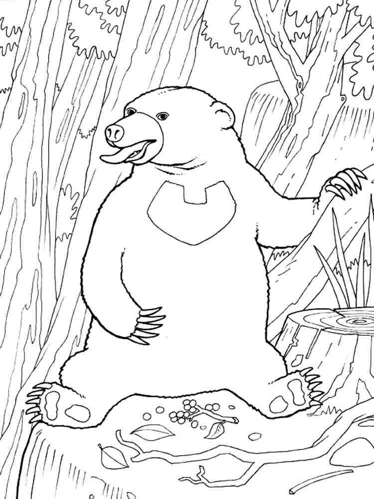 Malayan Sun Bear coloring page