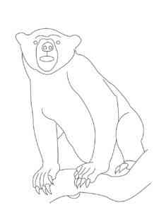 Easy Sun Bear coloring page