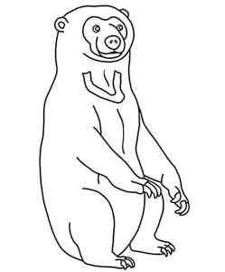 Sun Bear coloring pages