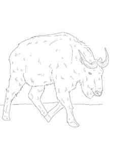 Running Takin coloring page