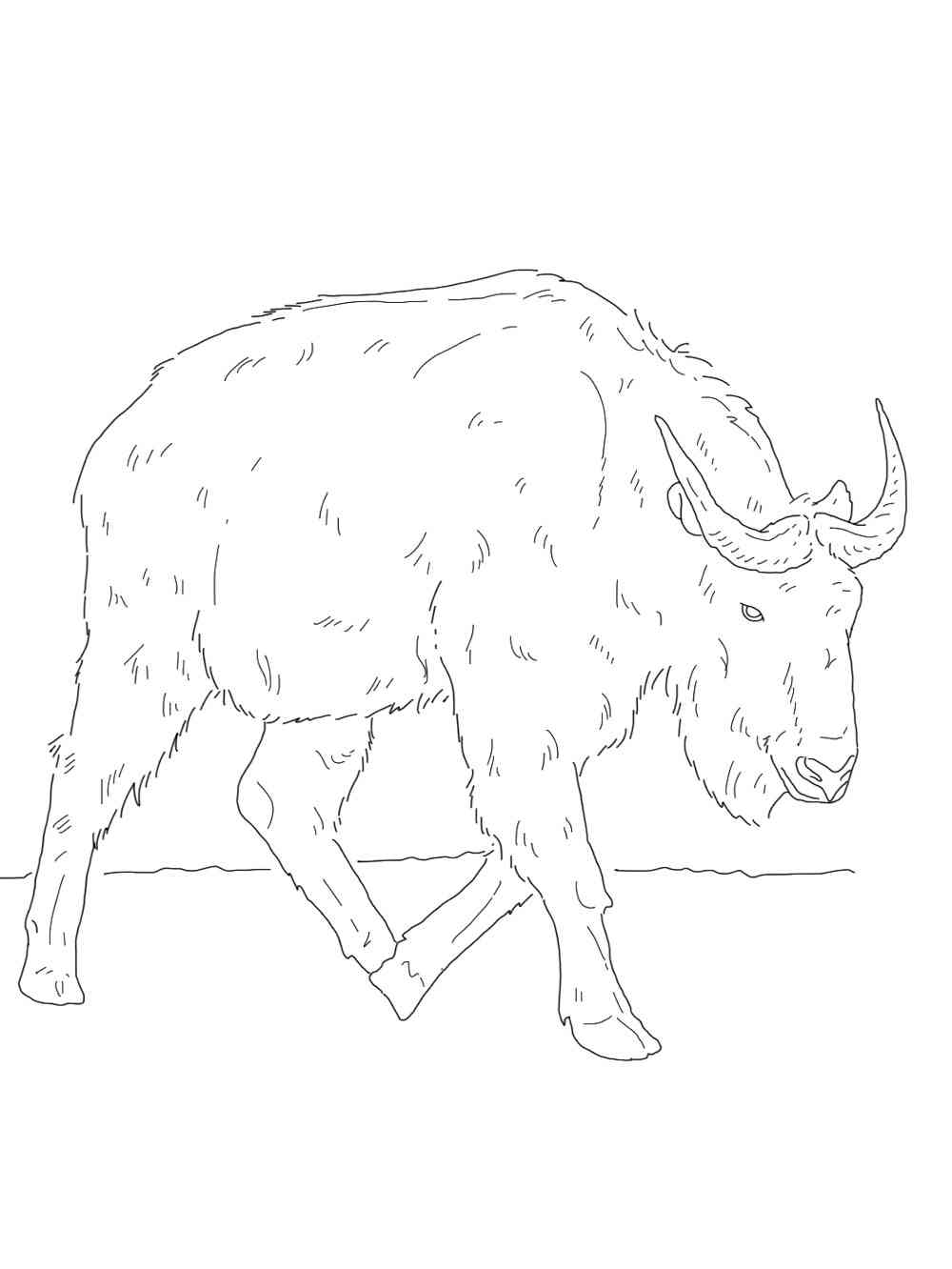 Running Takin coloring page
