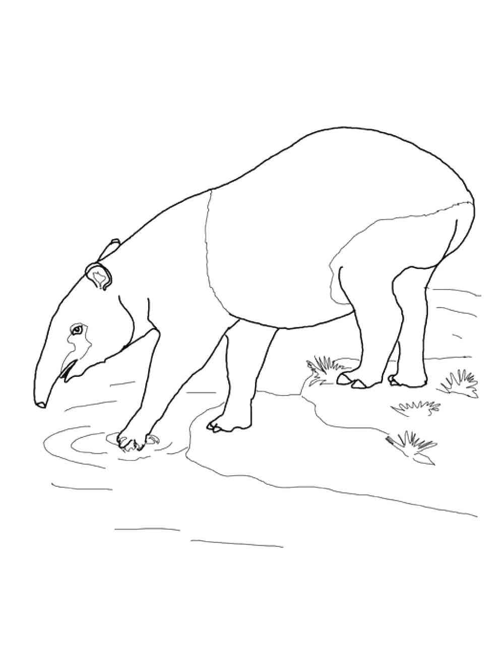 Tapir by the River coloring page