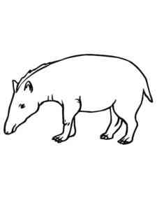Simple Tapir coloring page