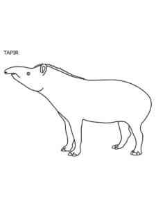 Baird’s Tapir coloring page