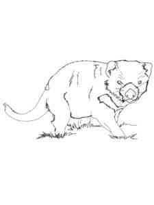 Crouching Tasmanian Devil coloring page