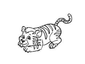 Little Cartoon Tiger coloring page